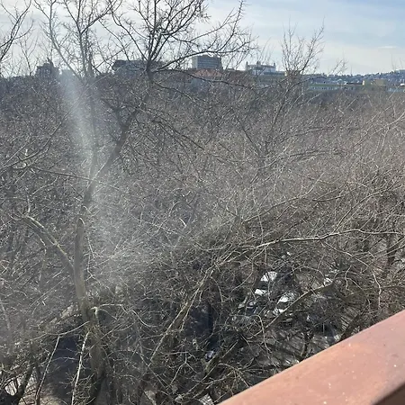 Park View Center Location With Balcony * Pressburg