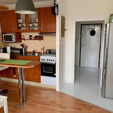 Park View Center Location With Balcony Apartment