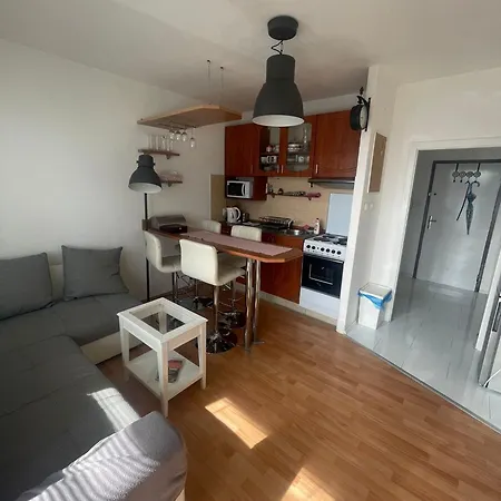 Park View Center Location With Balcony Apartament