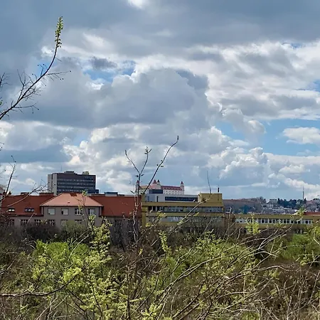 Apartament Park View Center Location With Balcony